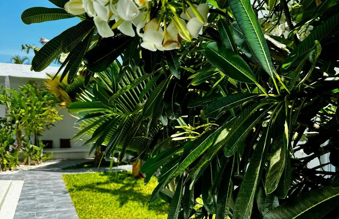 La Base Beach Hotel-1
